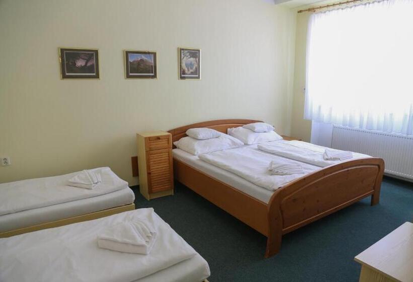带1个卧室的公寓, Sport Hotel Gejzirpark