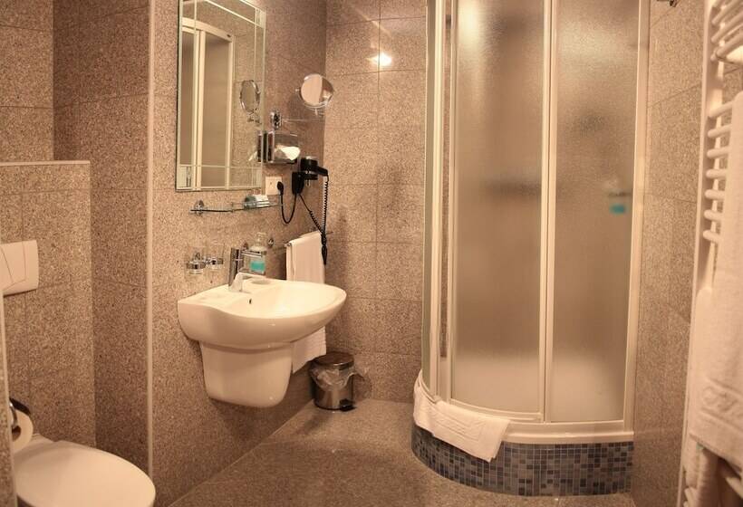 StandaardKamer, Zlaty Lev Zatec