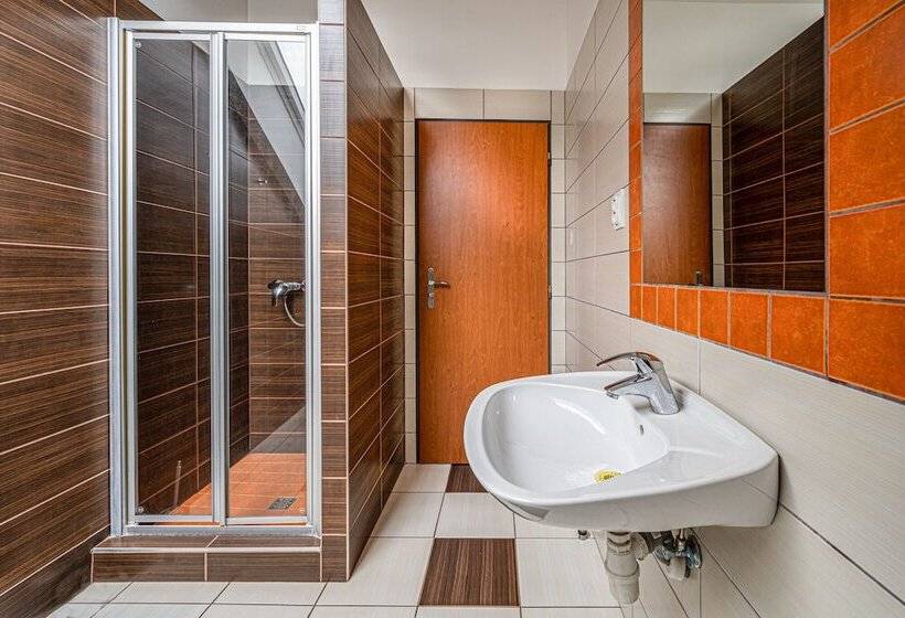 اتاق استاندارد سه تخته با سرویس بهداشتی مشترک, Inter Hostel Liberec