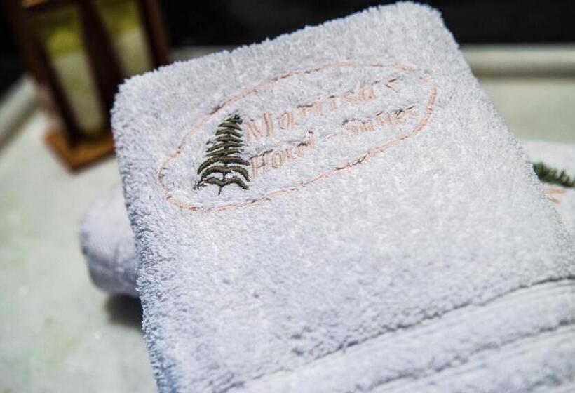 جناح مطلّ علي حمام السباحة, Maritsas Hotel & Suites