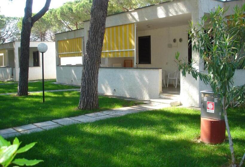 带1个卧室带花园景观的公寓, Baia Toscana