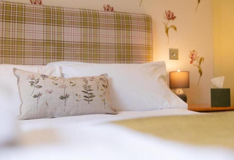 غرفة قياسية بلس, Fox And Hounds Llancarfan