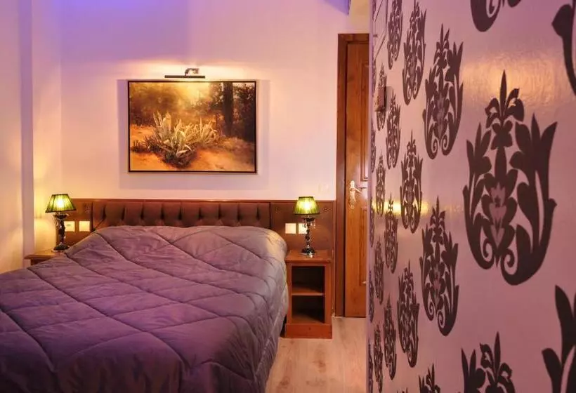 Chambre Standard, Anesis