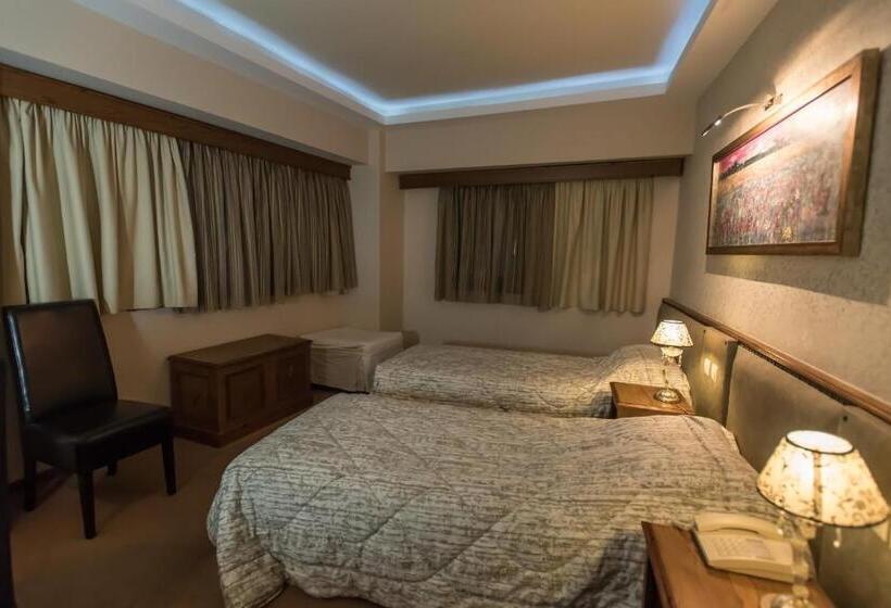 اتاق استاندارد, Anesis