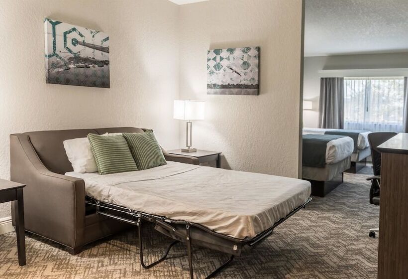 Люкс, Best Western Plus Sebastian Hotel & Suites