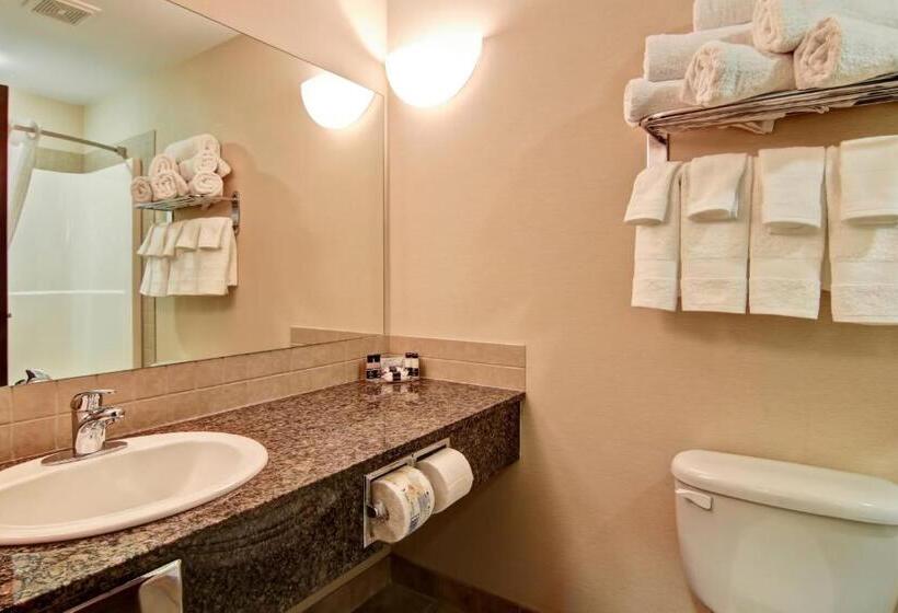 غرفة قياسية سرير كينج, Canalta Camrose