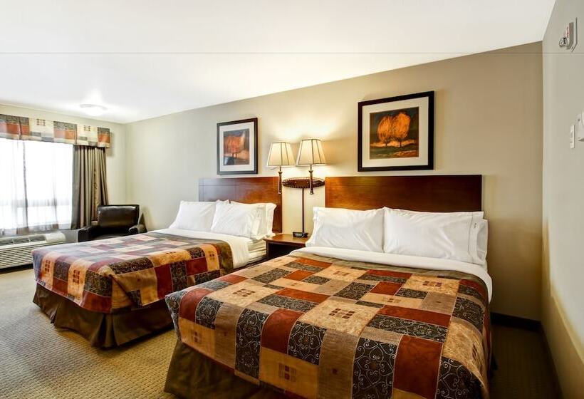 غرفة قياسية, Canalta Camrose