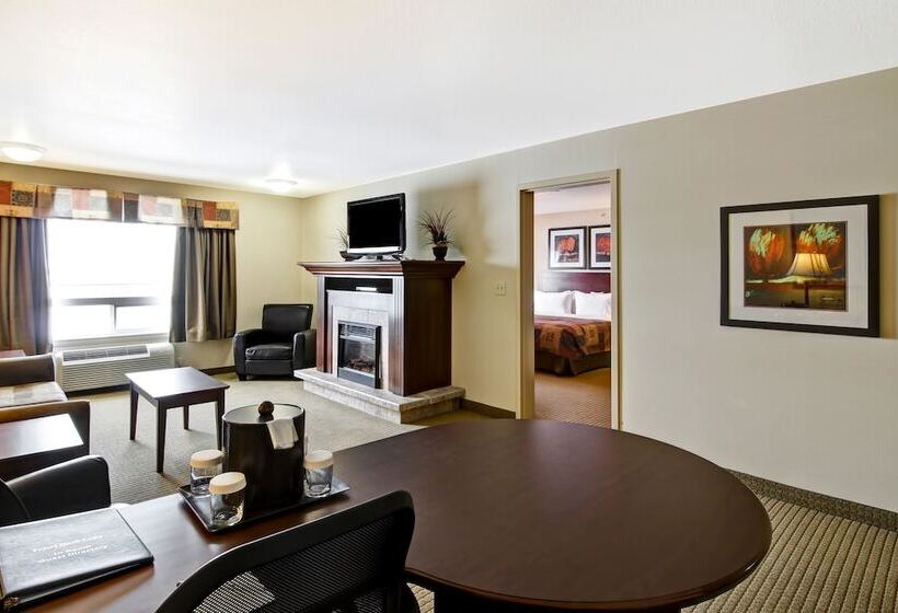 جناح, Canalta Camrose