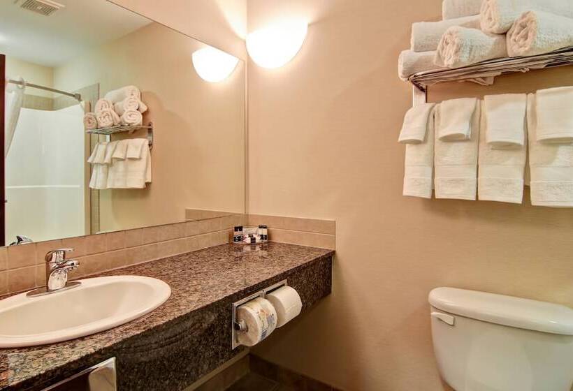 غرفه قياسيه سريرين مزدوجين, Canalta Camrose