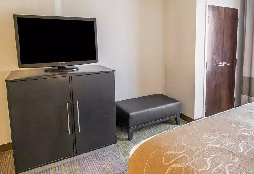 スイート, Comfort Suites Miami Airport North