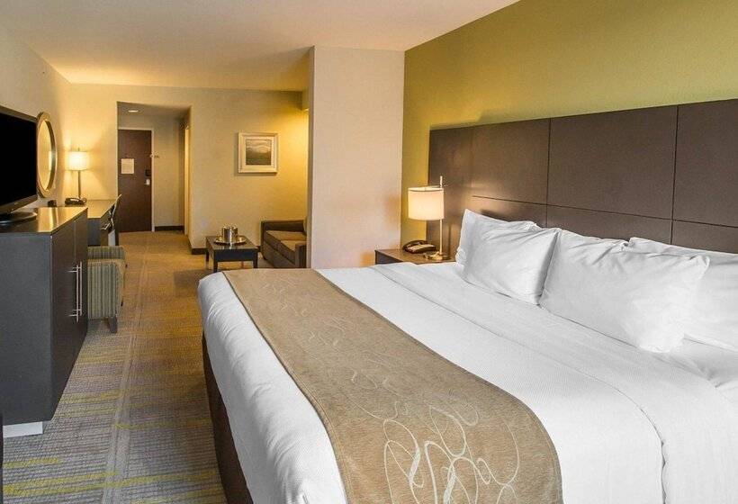 Люкс, Comfort Suites Miami Airport North