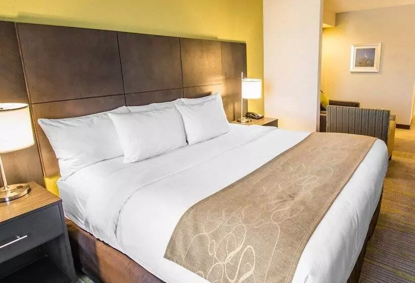 身障者適用スイートルーム, Comfort Suites Miami Airport North