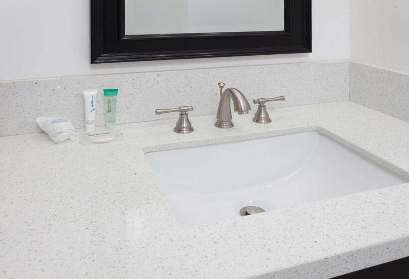 غرفة قياسية, Knights Inn Los Angeles Central / Convention Center Area