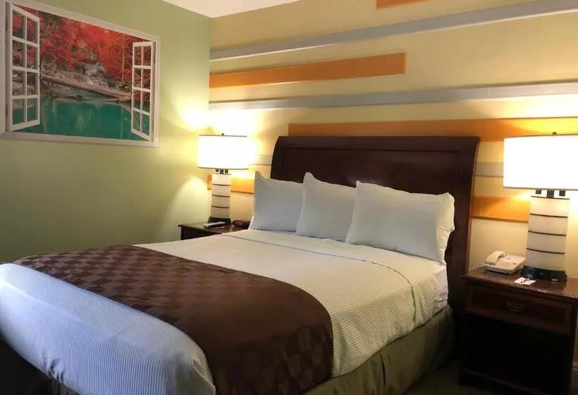 身障者適用スタンダードルーム, Knights Inn Los Angeles Central / Convention Center Area