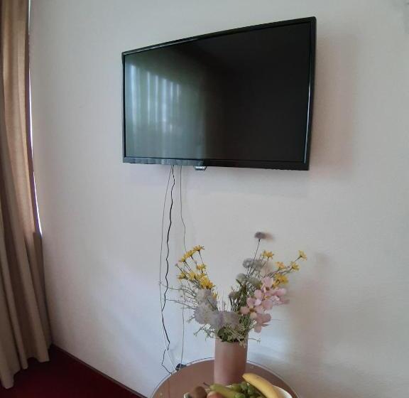 اتاق استاندارد یک نفره, Park