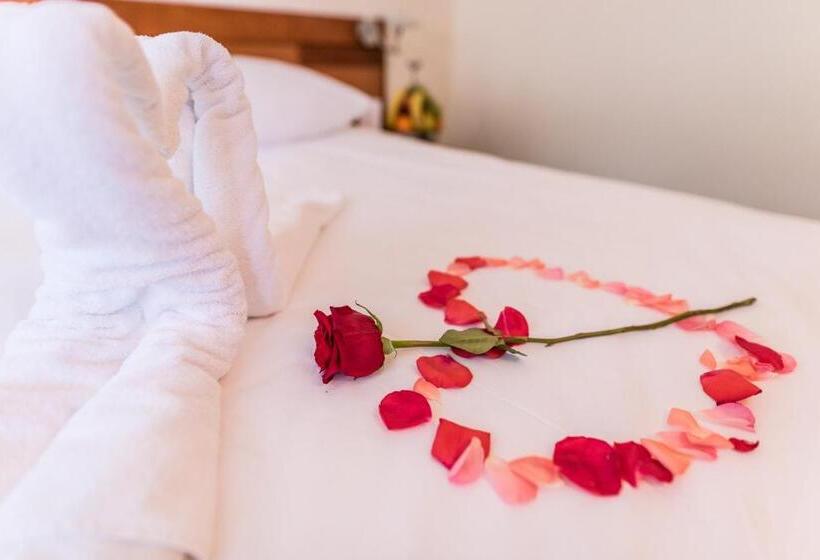 اتاق خانوادگی, Park