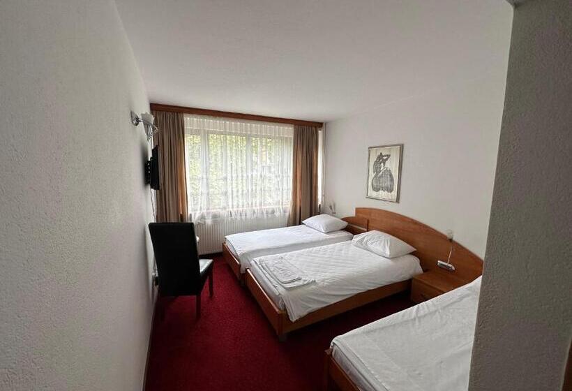 اتاق استاندارد سه نفره, Park