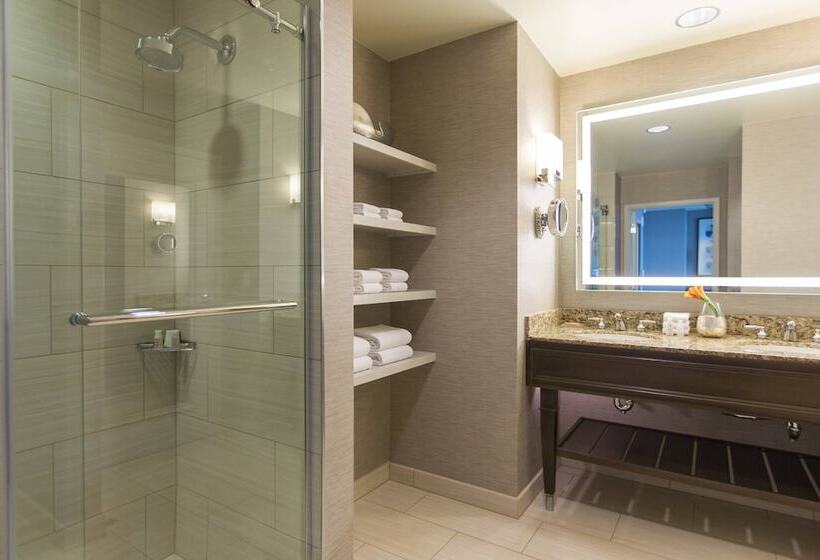 סוויטה אקזקיוטיב, Renaissance Tampa International Plaza