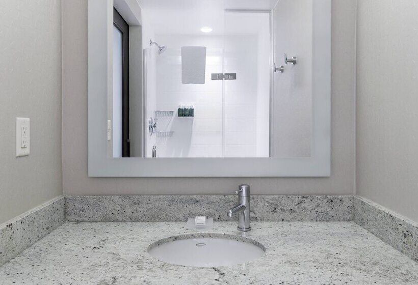 套房, Springhill Suites Alexandria Southwest