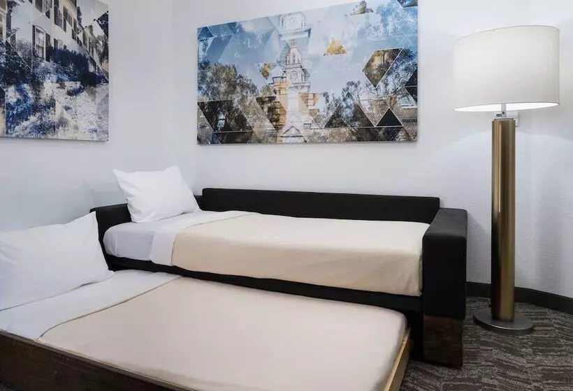 スイート, Springhill Suites Alexandria Southwest