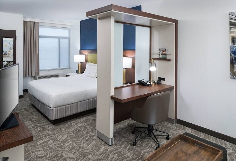 套房, Springhill Suites Alexandria Southwest