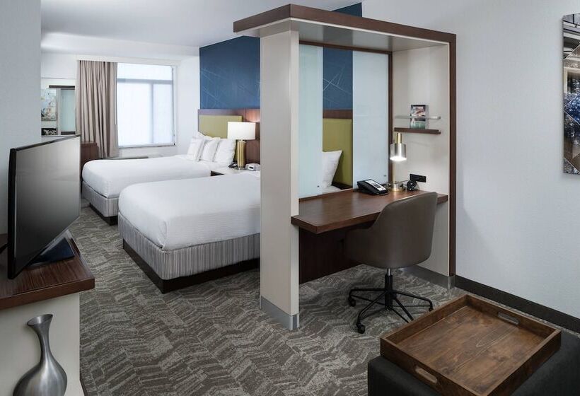 套房, Springhill Suites Alexandria Southwest