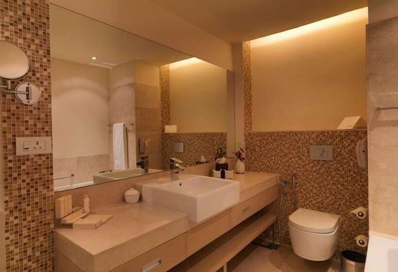 Полулюкс, Radisson Blu Hotel, Greater Noida
