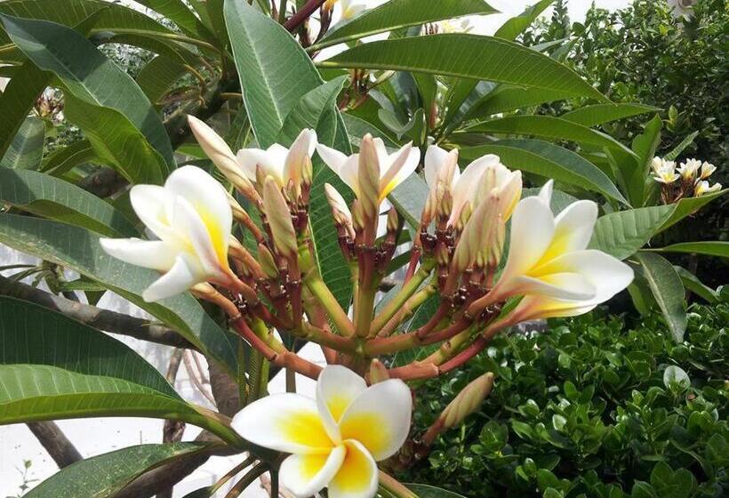 Standard-huone Puutarhanäkymä, Talgo Suites