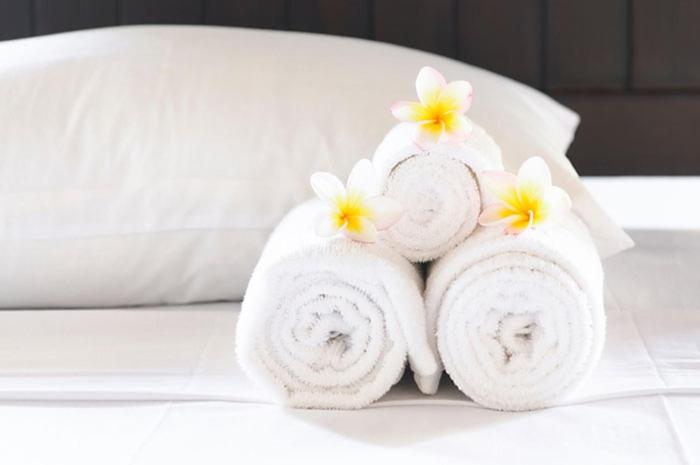 Standard-huone Puutarhanäkymä, Talgo Suites