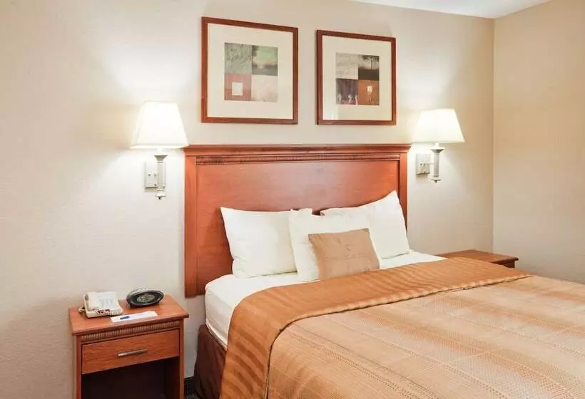 スイート, Candlewood Suites Eastchase Park, An Ihg