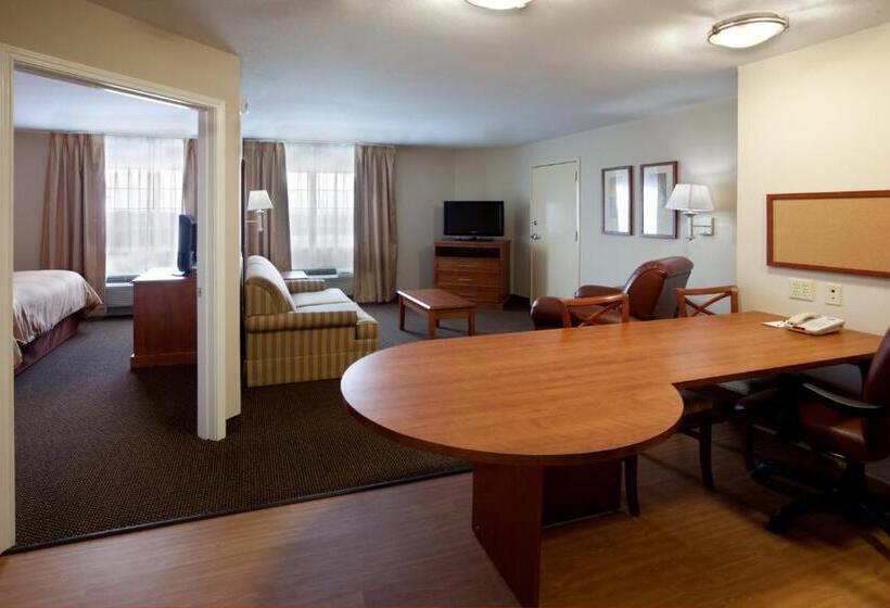 带大床的套房, Candlewood Suites San Antonio Nw Near Seaworld, An Ihg