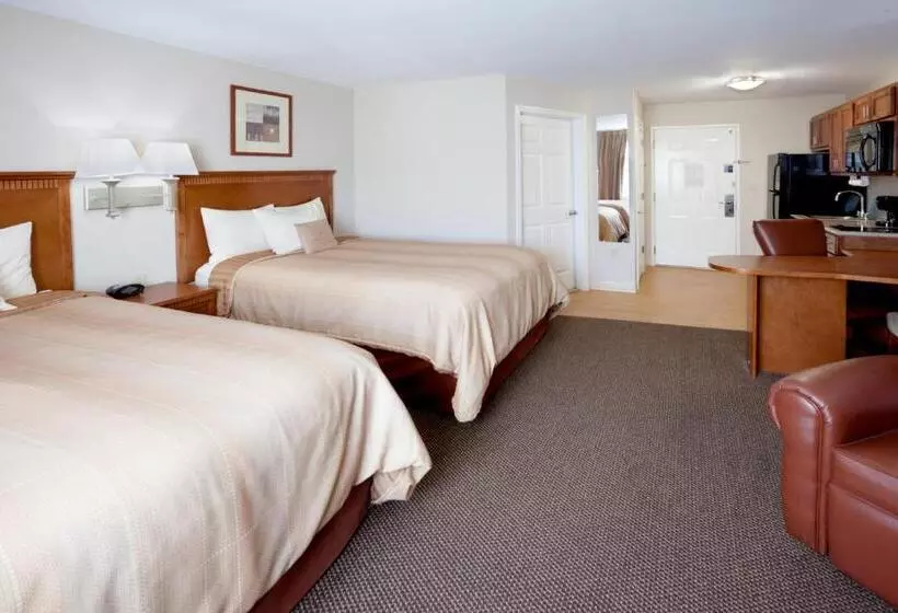 デラックススタジオ, Candlewood Suites San Antonio Nw Near Seaworld, An Ihg