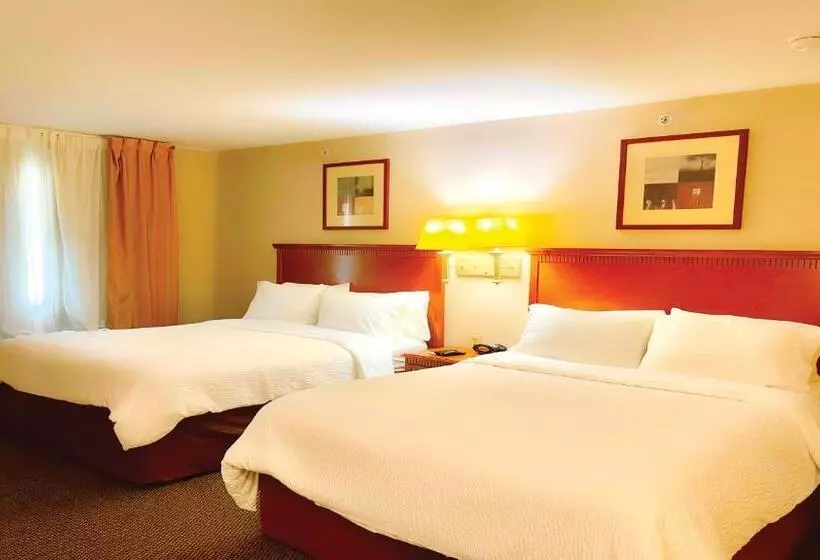 デラックススタジオ, Candlewood Suites San Antonio Nw Near Seaworld, An Ihg