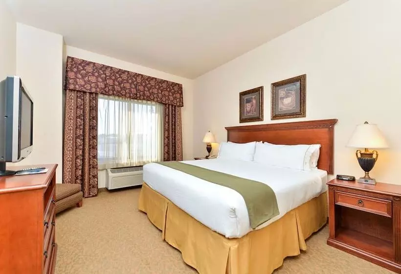 スタンダードルーム, Holiday Inn Express Hotel & Suites Las Cruces, An Ihg