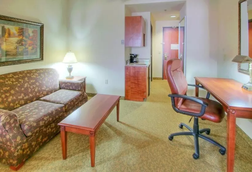 2ベッドスイートルーム, Holiday Inn Express Hotel & Suites Las Cruces, An Ihg
