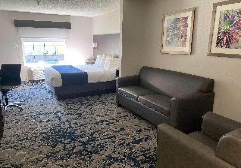 جناح سرير كينج, Best Western Allatoona Inn & Suites