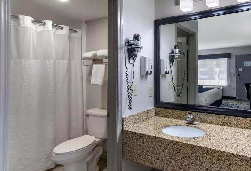 キングサイズベッドのスタンダードルーム, Best Western Allatoona Inn & Suites