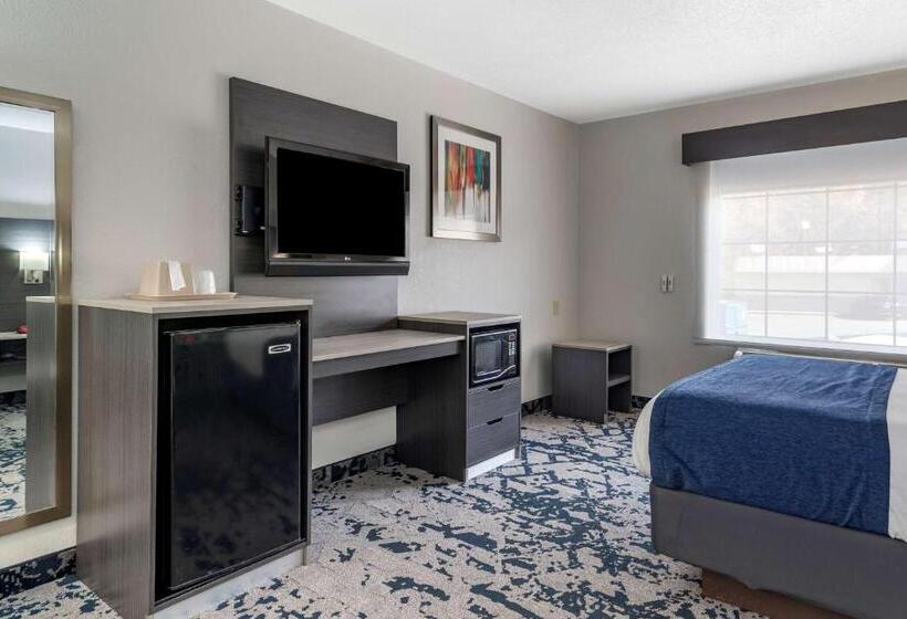 キングサイズベッドのスタンダードルーム, Best Western Allatoona Inn & Suites