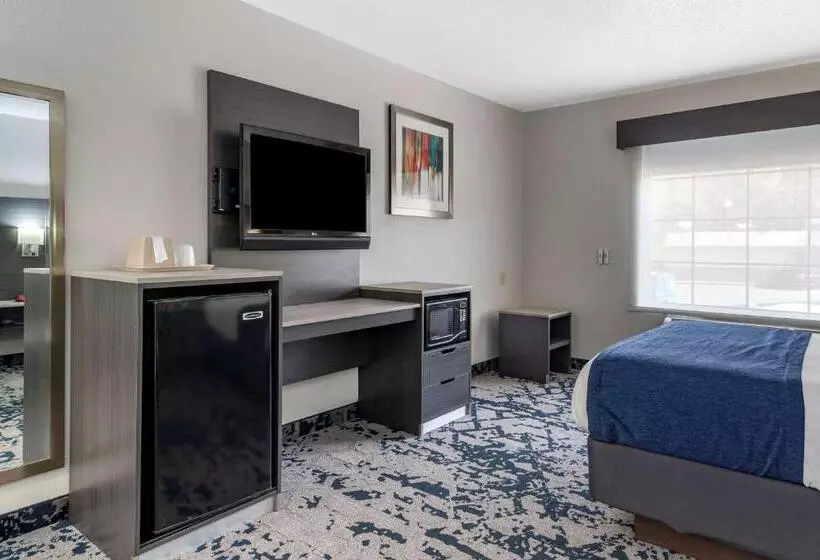 キングサイズベッドのスタンダードルーム, Best Western Allatoona Inn & Suites