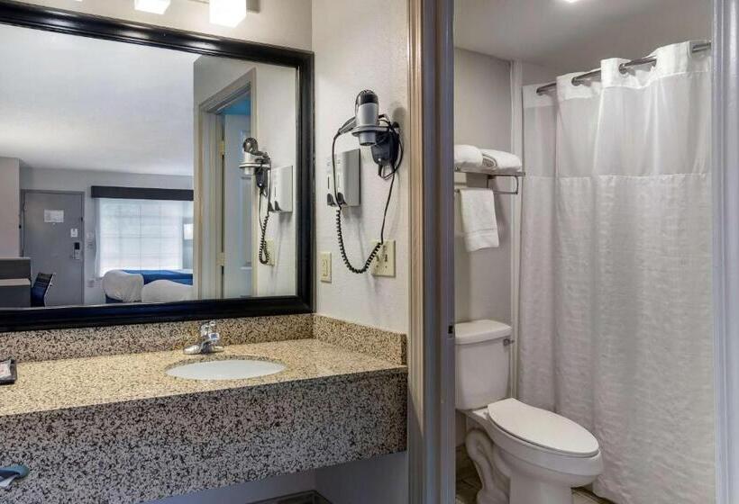 غرفة قياسية, Best Western Allatoona Inn & Suites