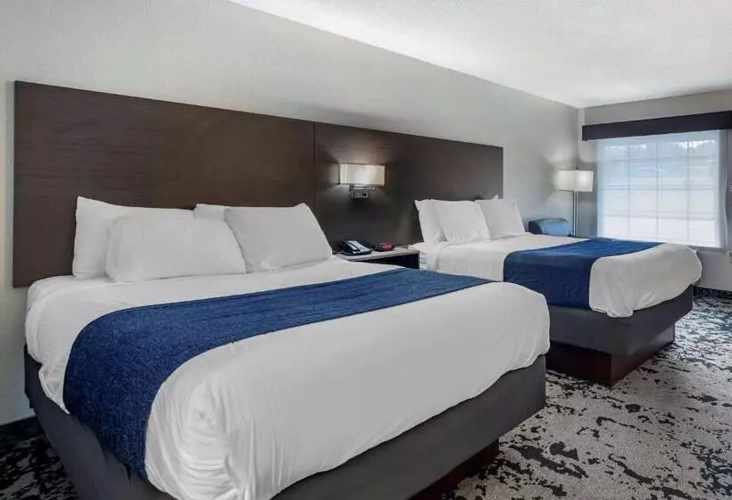 スタンダードルーム, Best Western Allatoona Inn & Suites
