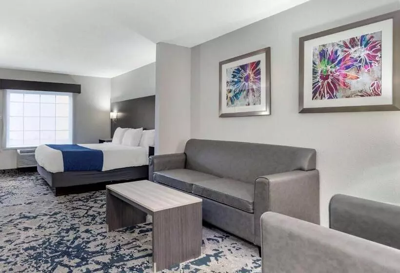 キングサイズベッドのスイートルーム, Best Western Allatoona Inn & Suites