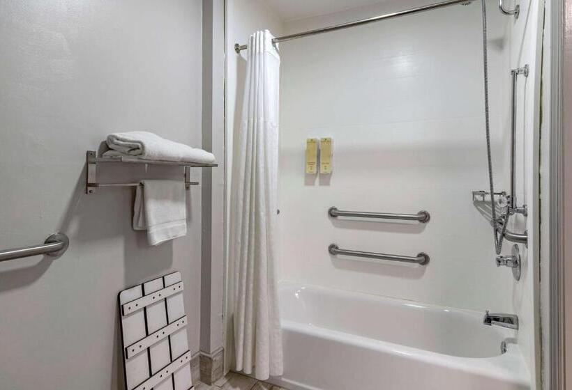 غرفة قياسية سرير كينج لذوى الإحتياجات الخاصة, Best Western Allatoona Inn & Suites