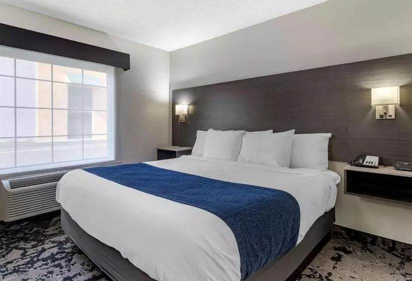 身障者適用キングサイズベッドルーム, Best Western Allatoona Inn & Suites