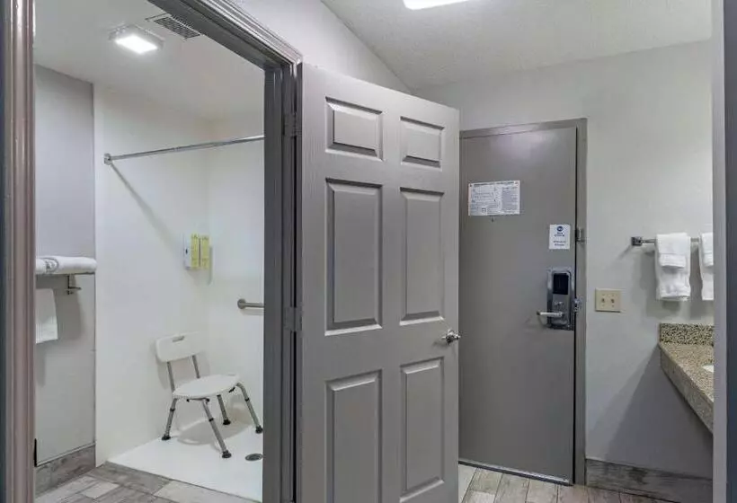 身障者適用スタンダードルーム, Best Western Allatoona Inn & Suites