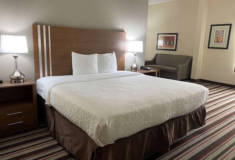 身障者適用スイートルーム, Best Western Windsor Inn And Suites