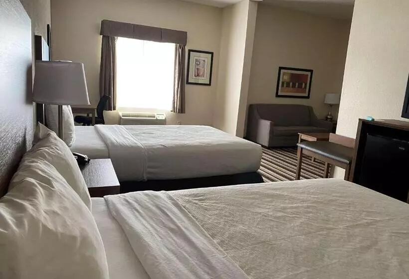 身障者適用スイートルーム, City Express by Marriott Danville