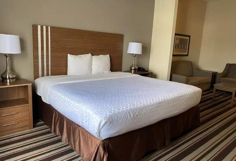 キングサイズベッドのスタンダードルーム, City Express by Marriott Danville