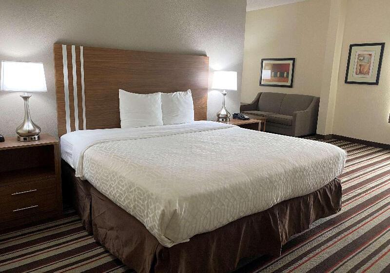 キングサイズベッドのスイートルーム, Best Western Windsor Inn And Suites