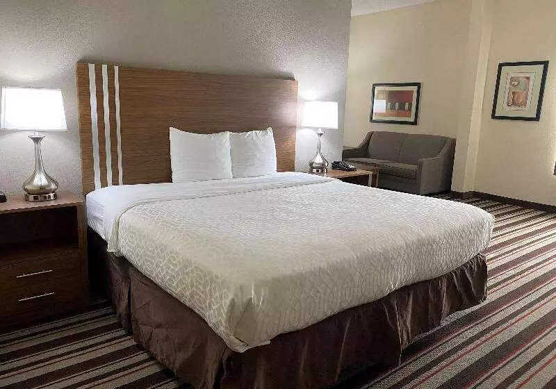 キングサイズベッドのスイートルーム, City Express by Marriott Danville